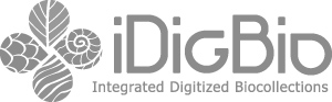 IdigBio logo